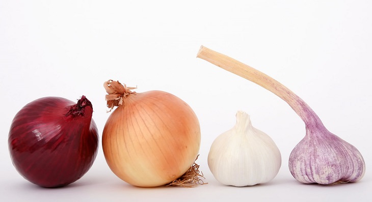 Onion Juice, hair growth, greying, balding, moisturizer, dry scalp, skin diseases