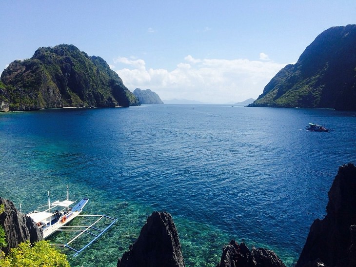 Palawan, Snorkeling, Whale Sharks, beautiful landscape, nature, travel, wildlife