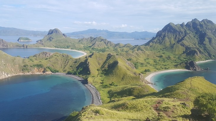 Komodo Island, Snorkeling, Scenic, Indonesia, Coral, Colorful Fish, endangered species