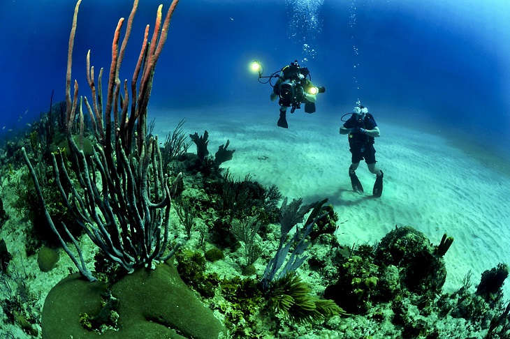 Snorkeling, Buck Island, Virgin Islands, St. Croix