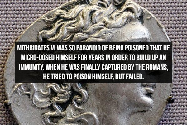 Amazing Historical facts, paranoid Mithridates VI built up an immunity to poison 