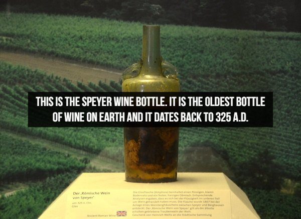 Amazing Historical facts, oldest bottle of wine, dated back 1700 years to 325. A.D