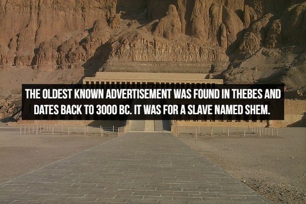 amazing historical facts, advertisement dated back 5000 years to 3000 BC, selling a slave