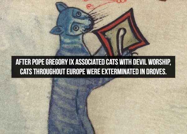 Amazing historical facts, extermination of cats in Europe on order of Pope Gregory IX