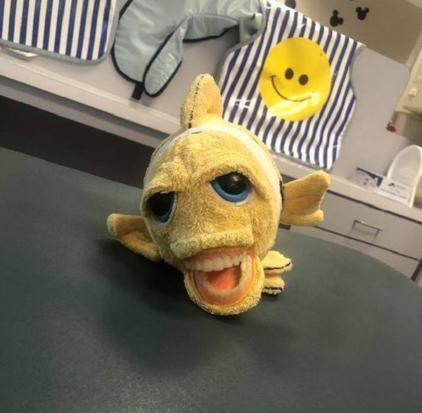 funny pictures of bad ideas, toy of a yellow fish with full set of teeth