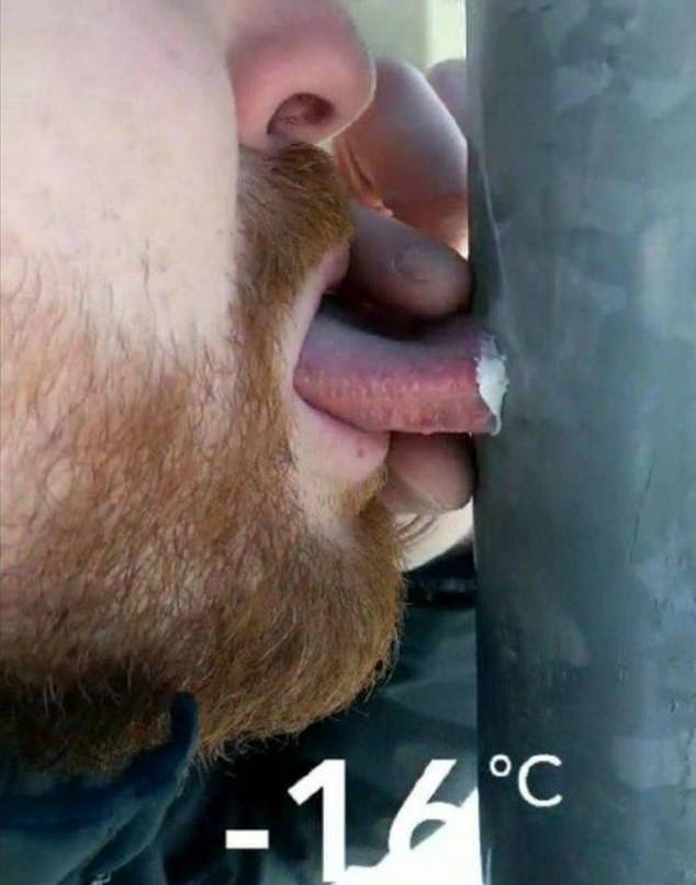funny pictures of bad ideas, man with tongue stuck on icy pole, -16 degrees