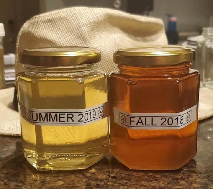 difference in comparison of random things, two jars of honey of different colors, labelled as Summer 2019 and Fall 2018