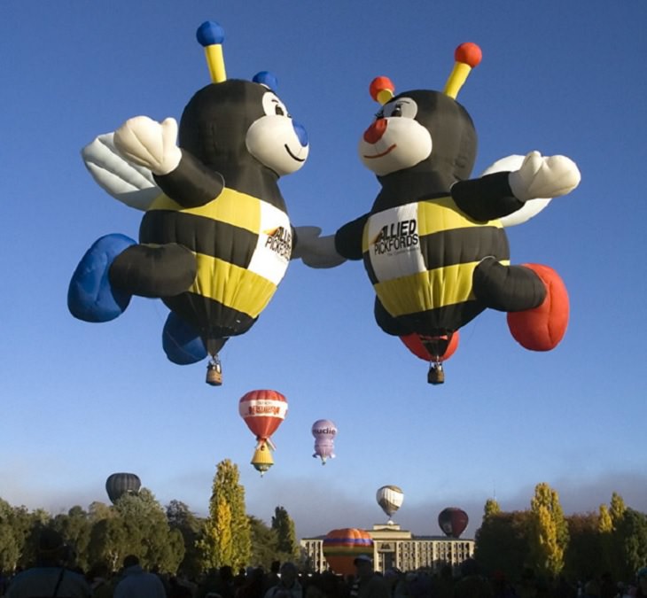 Different Hot air Balloons from Around the World, Bumblebees hot air balloon at Canberra Balloon Fiesta 2006