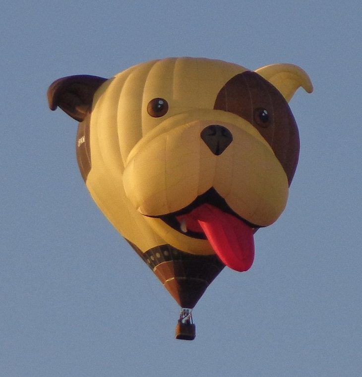 Different Hot air Balloons from Around the World, dog design hot air balloon