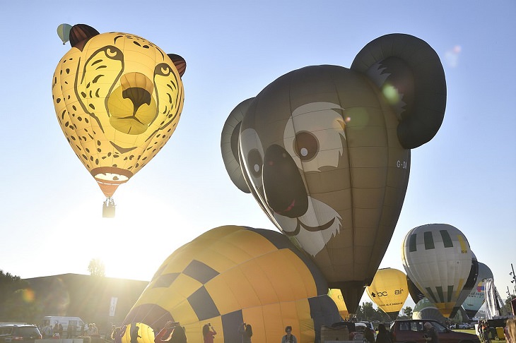 Different Hot air Balloons from Around the World, European Balloon Festival, balloon shaped as animals