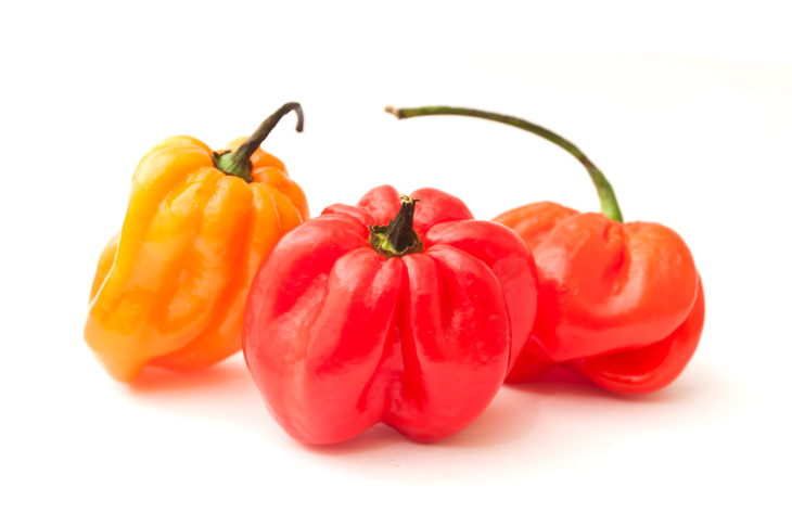 Extremely Spicy Chili Peppers from All Over the World, Jamaican Peppers, Caribbean
