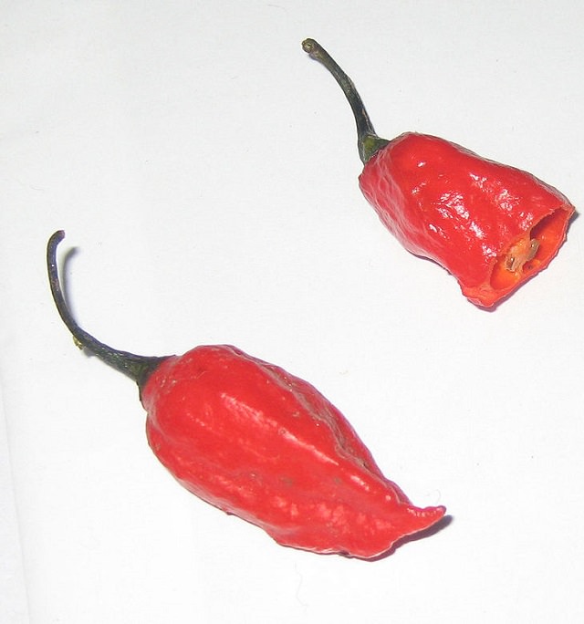 Extremely Spicy Chili Peppers from All Over the World, Nagabon Jolokia Pepper, England, Serpent Chili
