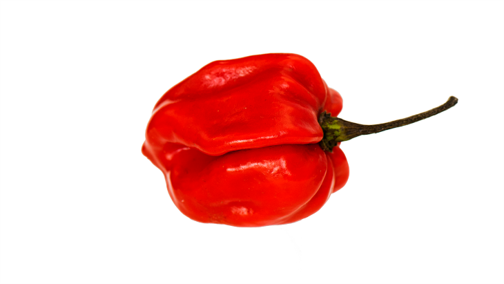 Extremely Spicy Chili Peppers from All Over the World, Caribbean Red Habanero Pepper