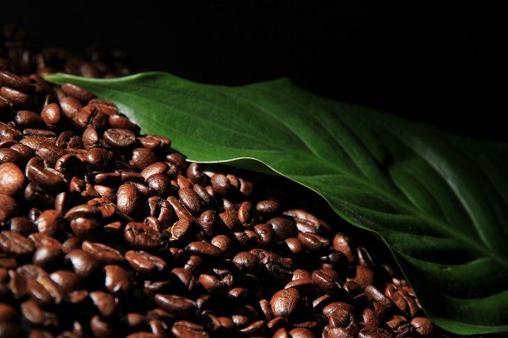 different coffee stain removal methods, a pile of burnt coffee seeds next to a large green leaf