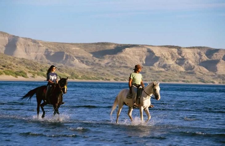 Tips for making the most of your next cruise trip, man and woman riding horses in the water on a beach during the day