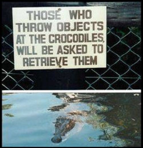 Funny warning and caution signs, warning sign stating that any items thrown at crocodiles will have to be retrieved by the thrower