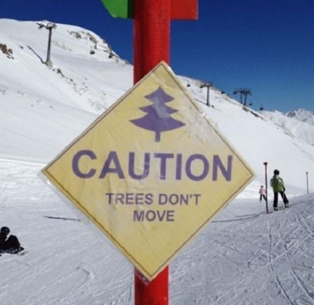 Funny warning and caution signs, warning sign on snow colored slope stating that trees do not move