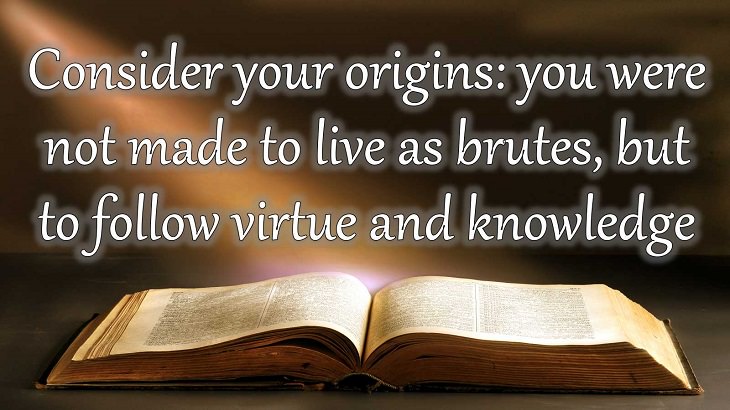 Quotes from Dante Alighieri, Poet and author of the Divine Comedy, Consider your origins: you were not made to live as brutes, but to follow virtue and knowledge