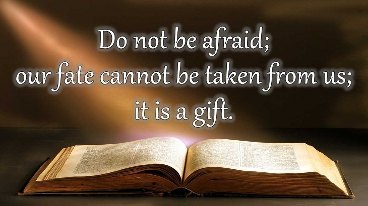 Quotes from Dante Alighieri, Poet and author of the Divine Comedy, Do not be afraid; our fate cannot be taken from us; it is a gift