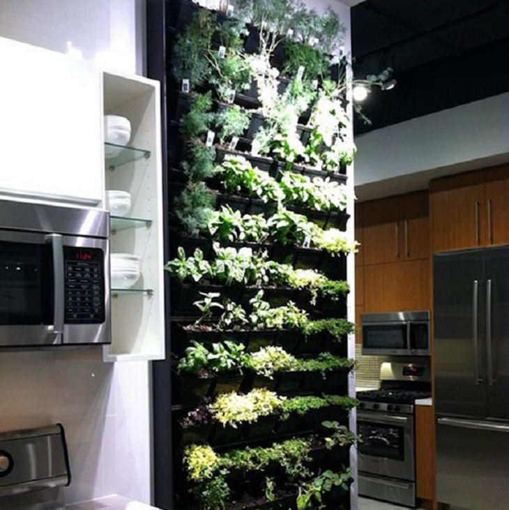 Incredible Innovative Design Ideas, a vertical garden to plant herbs and spices in the kitchen 