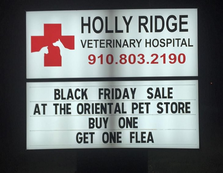 Pet Jokes found on signs outside veterinary clinics and animal hospitals, sign reading "Black friday sale at the oriental pet store, buy one get one flea", Holly Ridge Veterinary Hospital