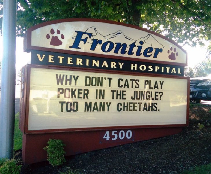 Pet Jokes found on signs outside veterinary clinics and animal hospitals, sign reading "Why don't cats play poker in the jungle? Too Many Cheetahs!" Frontier Veterinary Hospital