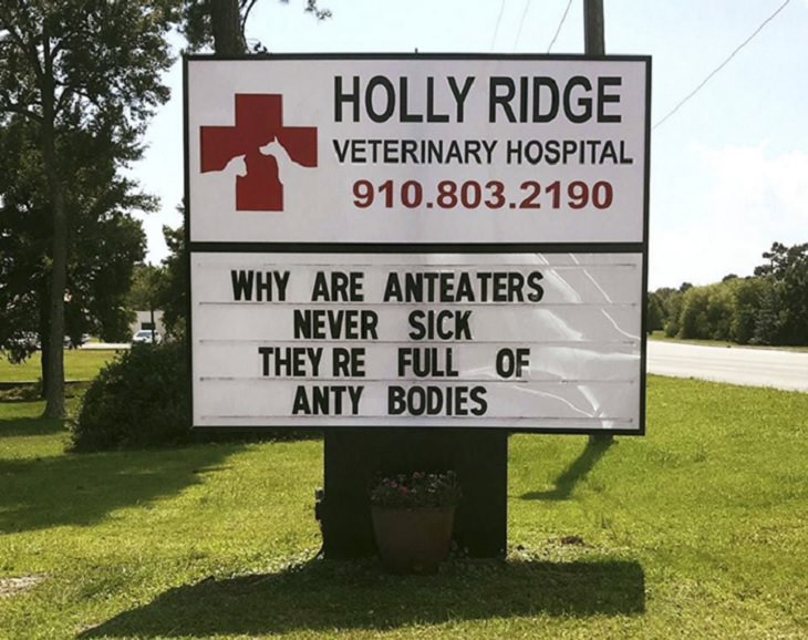 Pet Jokes found on signs outside veterinary clinics and animal hospitals, sign reading "Why are anteaters never sick? They're full of anti-bodies!", Holly Ridge Veterinary Hospital