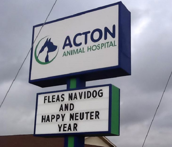 Pet Jokes found on signs outside veterinary clinics and animal hospitals, sign reading "Fleas Navidog and Happy Neuter Year", Action Animal Hospital