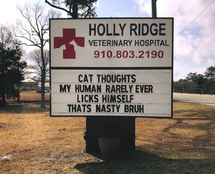 Pet Jokes found on signs outside veterinary clinics and animal hospitals, sign reading Cat Thoughts : My human rarely ever licks himself, that's nasty bruh, Holly Ridge Veterinary Hospital