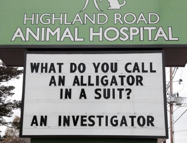 Pet Jokes found on signs outside veterinary clinics and animal hospitals, sign reading "What do you call an alligator in a suit? An investigator!", Highland Road Animal Hospital