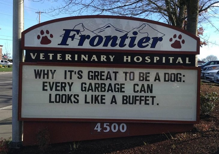 Pet Jokes found on signs outside veterinary clinics and animal hospitals, sign reading "Why ot's great to be a dog: Every garbage can looks like a buffet", Frontier Veterinary Hospital
