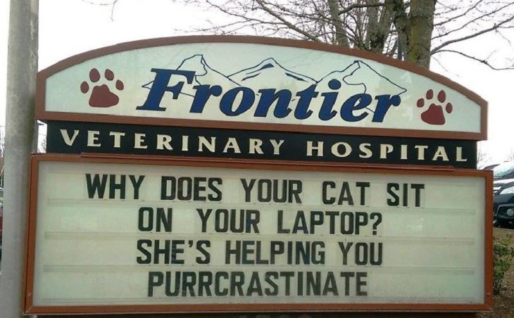Pet Jokes found on signs outside veterinary clinics and animal hospitals, sign reading "Why does your cat sit on your laptop? She's helping you purrcrastinate", Frontier Veterinary Hospital