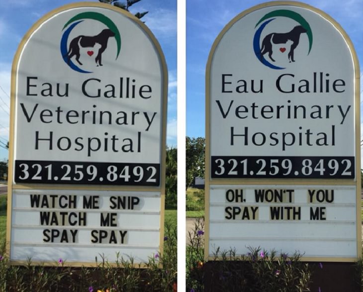 Pet Jokes found on signs outside veterinary clinics and animal hospitals, sign reading ""watch me snip, watch me spay spay" and sign reading "oh won't you spay with me", Eau Gallie Veterinary Hospital