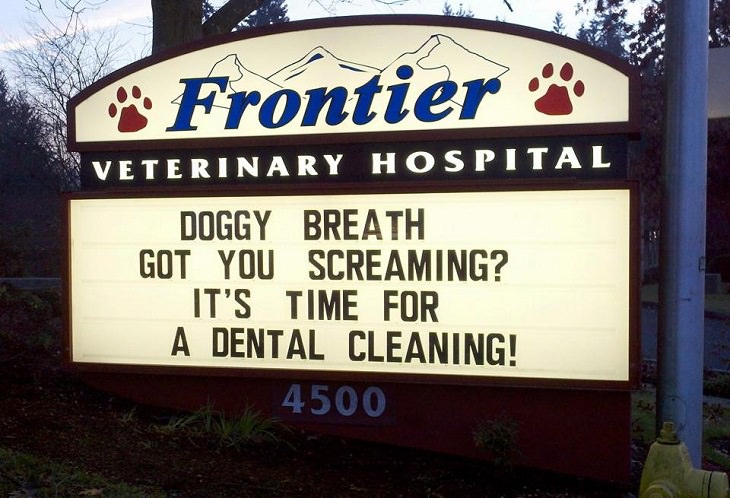 Pet Jokes found on signs outside veterinary clinics and animal hospitals, sign reading "Doggy breath got you screaming? It's time for a dental cleaning!", Frontier Veterinary Hospital