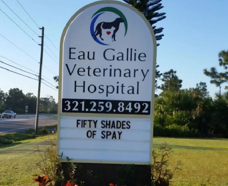 Pet Jokes found on signs outside veterinary clinics and animal hospitals, sign reading "Fifty shades of spay", Eau Gallie Veterinary Hospital