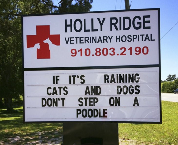 Pet Jokes found on signs outside veterinary clinics and animal hospitals, sign reading "If it's raining cats and dogs, don't step on a poodle", Holly Ridge Veterinary Hospital
