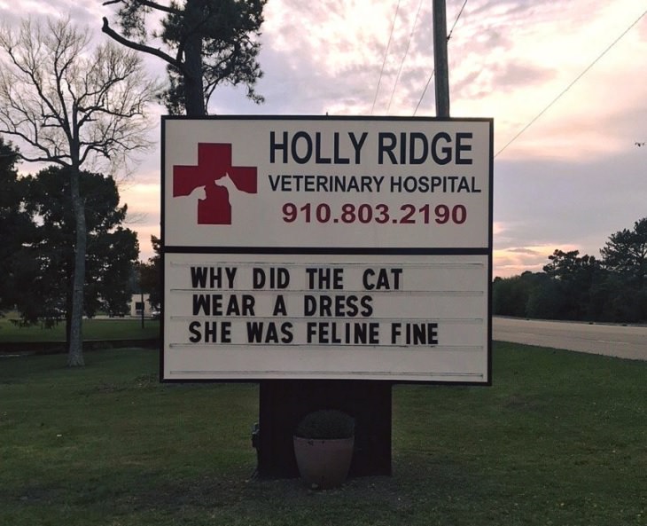 Pet Jokes found on signs outside veterinary clinics and animal hospitals, sign reading "Why did the cat wear a dress? She was feline fine!", Holly Ridge Veterinary Hospital