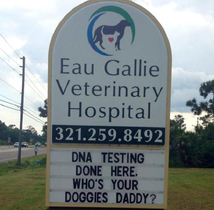 Pet Jokes found on signs outside veterinary clinics and animal hospitals, sign reading "DNA Testing done here: Who's your doggie's daddy?", Eau Gallie Veterinary Hospital