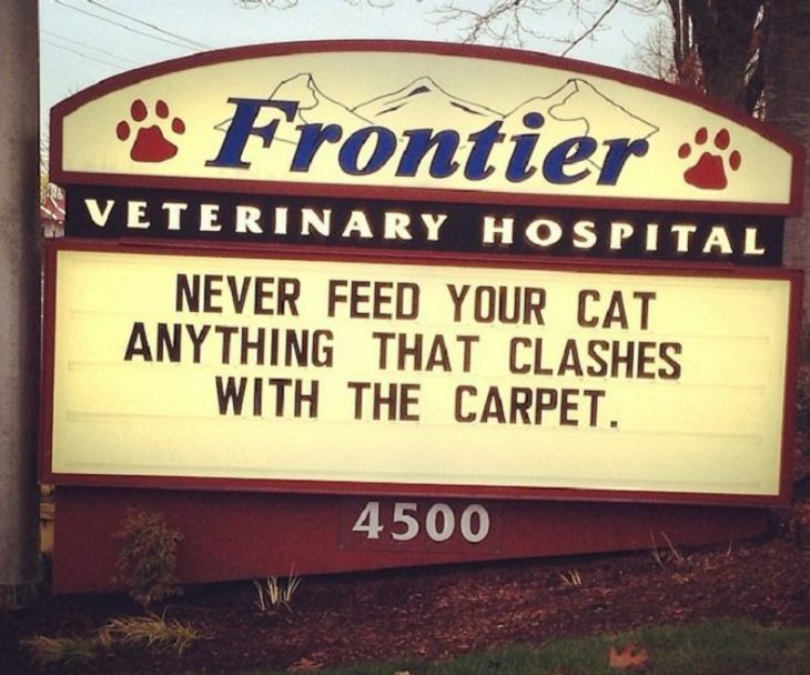 Pet Jokes found on signs outside veterinary clinics and animal hospitals, sign reading "Never feed your cat anything that clashes with the carpet", Frontier Veterinary Hospital
