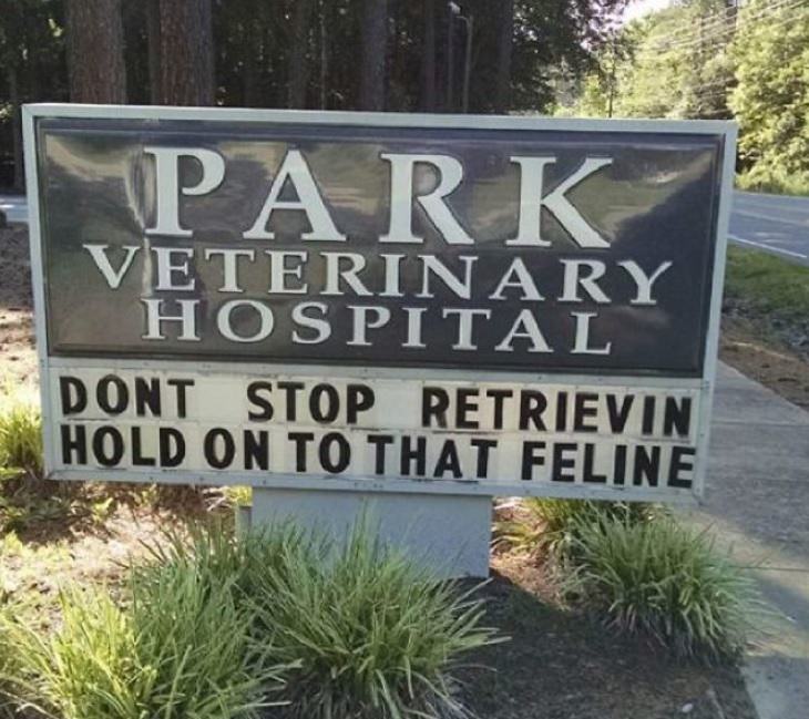 Pet Jokes found on signs outside veterinary clinics and animal hospitals, sign reading "Don't stop retrievin', hold on to that feline", Park Veterinary Hospital
