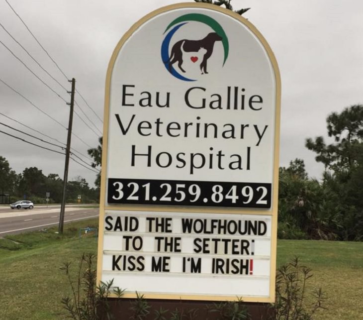 Pet Jokes found on signs outside veterinary clinics and animal hospitals, sign reading "Said the wolfhound to the setter, kiss me, I'm Irish!", Eau Gallie Veterinary Hospital