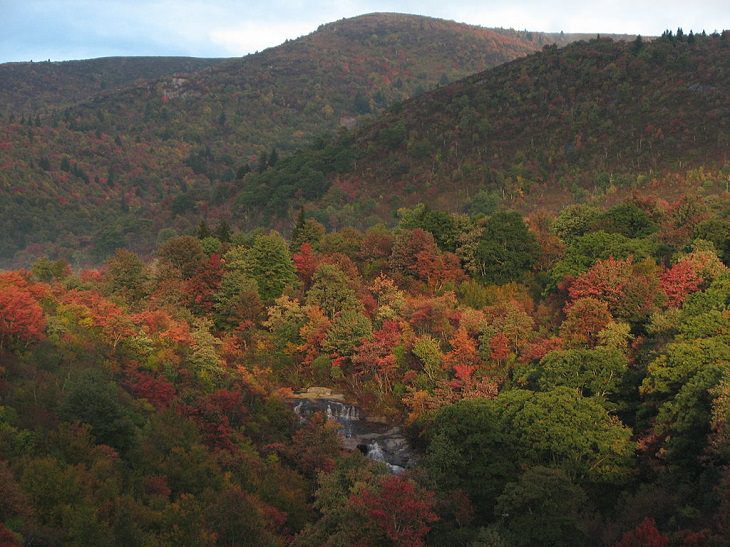 Beautiful sights and views of various mountains, peaks and wildlife in the blue ridge mountain range, Black Balsam Knob, Graveyard Fields and Yellowstone Falls as seen at sunrise from Blueridge Parkway Milepost 419