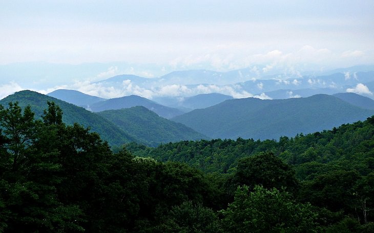 Beautiful sights and views of various mountains, peaks and wildlife in the blue ridge mountain range, The Blue Ridge Mountains as seen from the Blue Ridge Parkway near Mount Mitchell in North Carolina