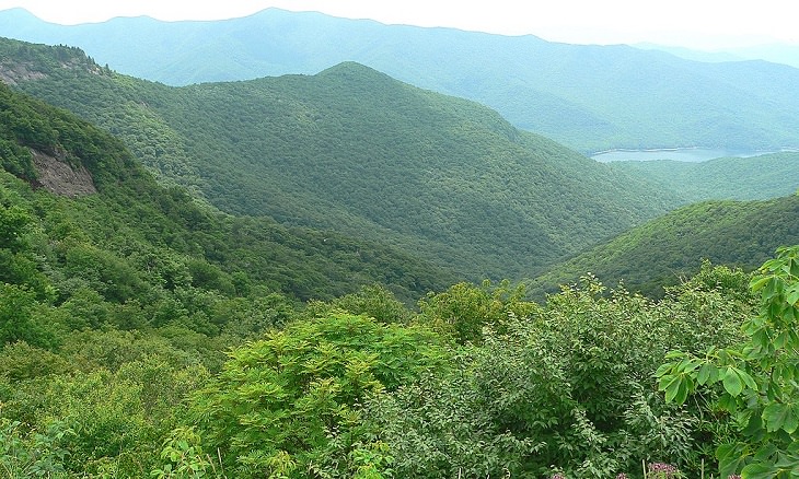 Beautiful sights and views of various mountains, peaks and wildlife in the blue ridge mountain range, The view from Craggy Gardens on the Blue Ridge Parkway