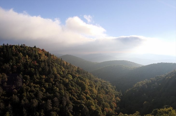 Beautiful sights and views of various mountains, peaks and wildlife in the blue ridge mountain range, East Fork Overlook from Blue Ridge Parkway