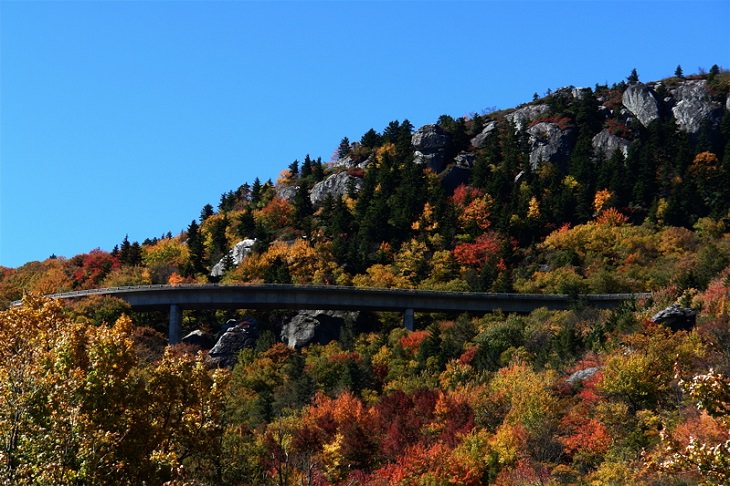 Beautiful sights and views of various mountains, peaks and wildlife in the blue ridge mountain range, Setting of the Linn Cove Viaduct
