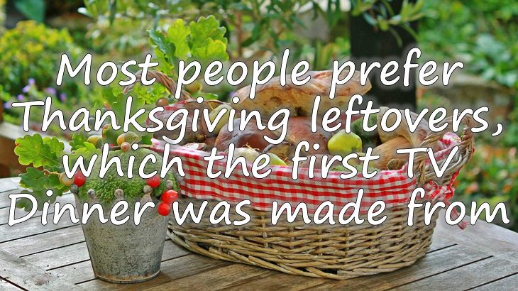 Fun facts all about turkeys for thanksgiving day, Most people prefer Thanksgiving leftovers, leading to the first TV dinner being made from the same.