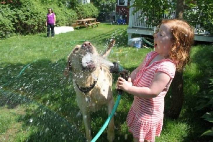 funny and odd pictures of animals and their antics, young girl spraying water into a dogs mouth with a hose