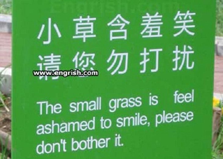 Funny foreign language signs, translations fails, green sign on grass saying the small grass is feel ashamed to smile, please don't bother it