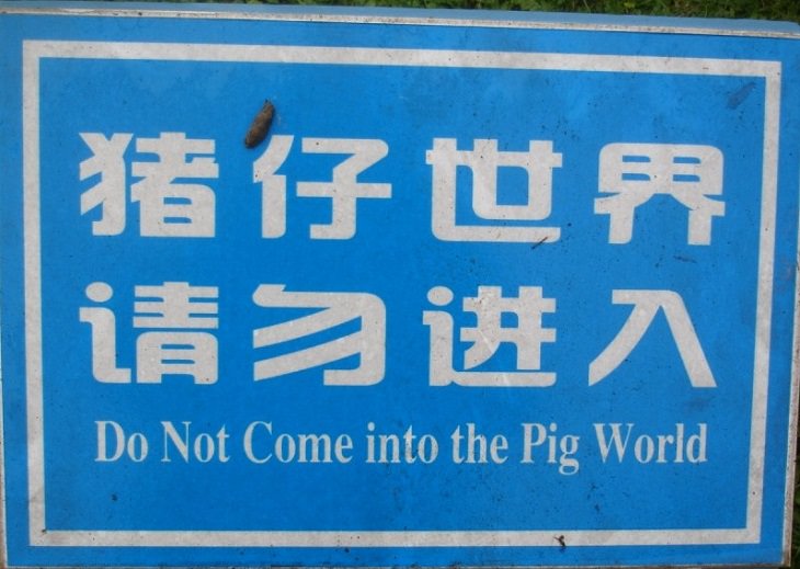 Foreign Signs Lost in Translation
